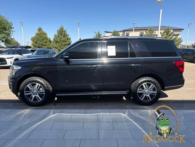 2022 Ford Expedition — rear three-quarter view
